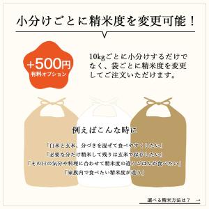 在庫一掃セール【減農薬 有機肥料使用】 ササニ...の詳細画像3