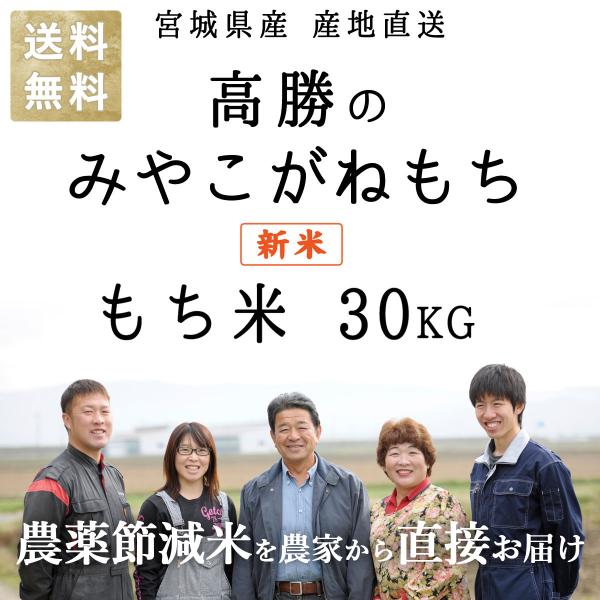 もち米 玄米 30kg 白米 27kg 新米 みやこがねもち 減農薬 有機肥料使用 宮城県産 米 宮...