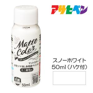 アサヒペン 水性多用途ペイントマットカラー 50ml（ハケ付） スノーホワイト 塗装 ペンキ