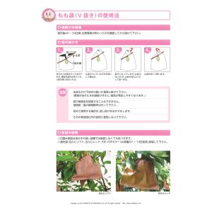 桃用果実袋 白撥水桃袋 100枚 柴田屋加工紙の詳細画像2