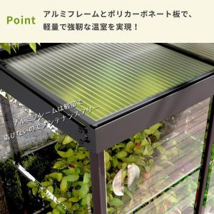 IVY 収納庫型温室 パルラム社 GREEN ...の詳細画像1