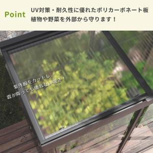 IVY 収納庫型温室 パルラム社 GREEN ...の詳細画像2
