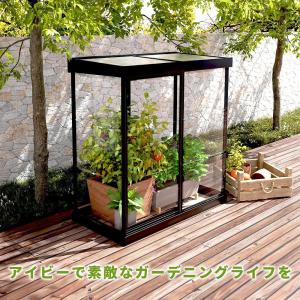 IVY 収納庫型温室 パルラム社 GREEN ...の詳細画像3