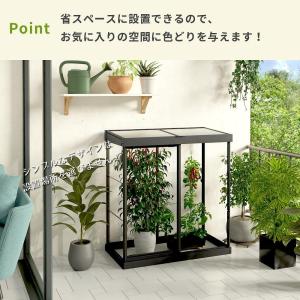 IVY 収納庫型温室 パルラム社 GREEN ...の詳細画像4