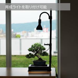 BIBILAB(ビビラボ) 植物育成ライトスタ...の詳細画像2