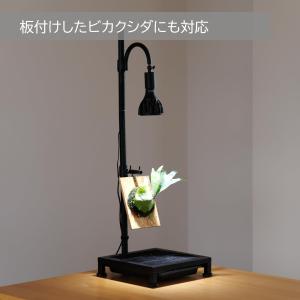 BIBILAB(ビビラボ) 植物育成ライトスタ...の詳細画像3