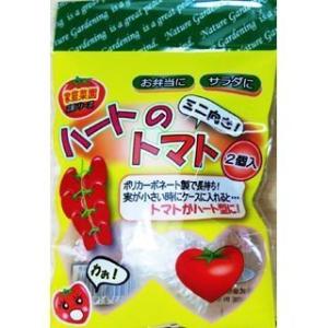 ハートのトマト　ミニ用 2個入 フォレスト  家庭菜園　トマト　