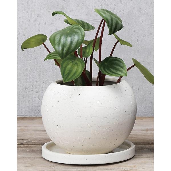 セントポットボールS ホワイト HT7608 エイチツーオー