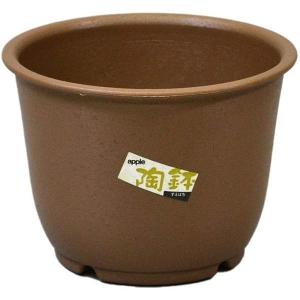 陶鉢 輪型3.5号 きん茶 アップルウェアー 植木鉢 サボテン コーデックス アガベ プランター