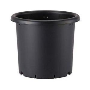 アップルウェアー 菊鉢 10号 ブラック 鉢 アガベ コーデックス