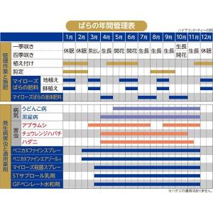 マイローズ ばらの培養土 10Lローズガーデン 薔薇の詳細画像5