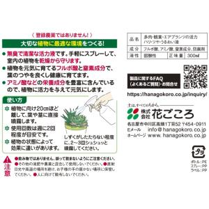 多肉のハリ・ツヤ・うるおい液 300ml 花ご...の詳細画像1