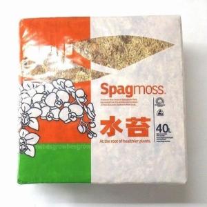 水苔 ニュージーランド産 150g 1個 AAA ニュージーランド ミズゴケ