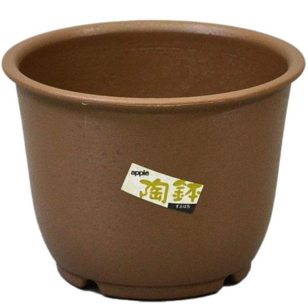 陶鉢 輪型5号 きん茶 アップルウェアー 植木鉢 サボテン コーデックス アガベ プランター