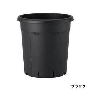 根巻防止連結ポリ鉢7.5合体くん 40鉢 タキイ種苗 : ドンドンマーケット