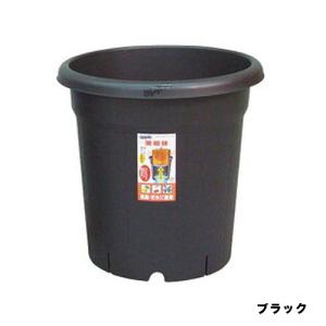 根巻防止連結ポリ鉢9cm合体くん 24鉢 タキイ種苗 : ドンドンマーケット