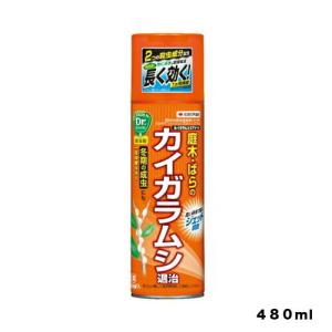 カイガラムシエアゾール　４８０ml 　住友化学園芸　園芸用品・ガーデニング用品　殺虫剤