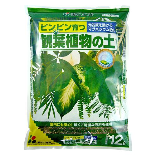 花ごころ　観葉植物の土　１２Ｌ　園芸用品・家庭菜園