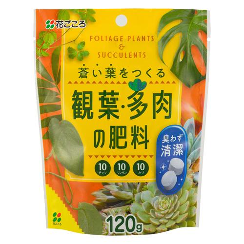 観葉・多肉の肥料　１２０g　花ごころ　園芸用品・ガーデニング用品