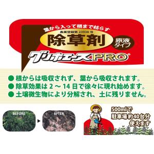 グリホエースPRO 1L 除草剤 ハートの詳細画像2