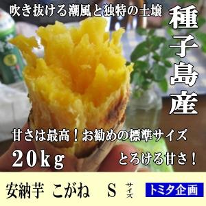 安納芋 こがね 20kg Sサイズ 種子島産さつまいも 黄...