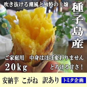 さつまいも 安納芋 こがね 20kg 訳あり 種子島産 ...