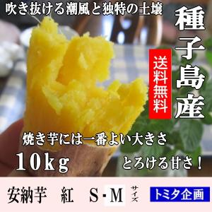 安納芋 サツマイモ 紅芋 種子島産 蜜芋 １０kg 紅芋 S・M 特選 中 甘くて香ばしいさつま芋