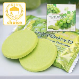 信州長野県のお土産 お菓子 洋菓子 信州きらめき彩果シャインマスカットショコラ12枚入小