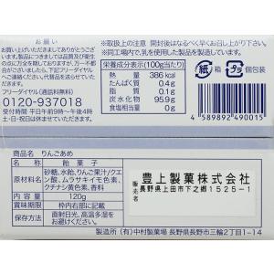 信州長野県のお土産 お菓子 美味直送りんごあめの詳細画像1