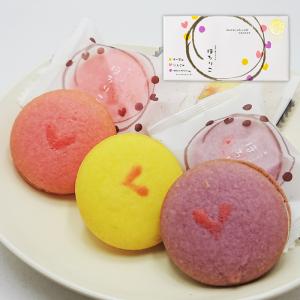 第26回全国菓子大博覧会 橘花栄光章受賞 信濃の菓ぞえうた ほろりこ小