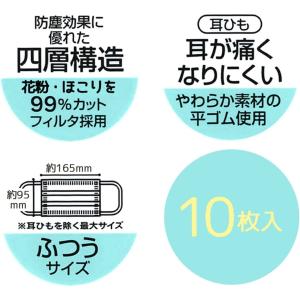 SKATER スケーター 四層構造 不織布 マ...の詳細画像5