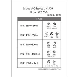 SKATER スケーター 弁当箱 2段 600...の詳細画像5