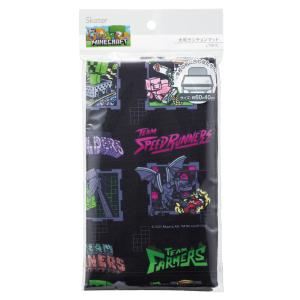 SKATER スケーター ランチョンマット 大...の詳細画像1