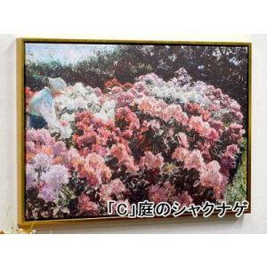 ★新春クリアランスSALE！★  名画額絵 格安 ゴールドフレーム 幅55×高さ40cm ゴッホ 画...