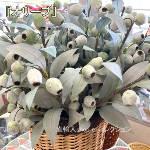種類7：JS-742-オリーブ ★倉庫移転の為、在庫処分SALE！★ オリーブ 長さ65cm 1本 ...