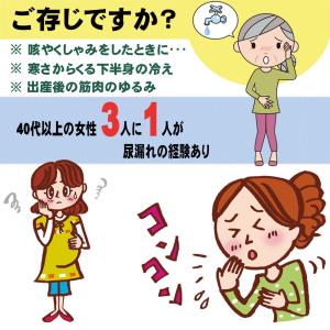 尿漏れパッド 尿漏れパンツ ショーツ サニタリ...の詳細画像4