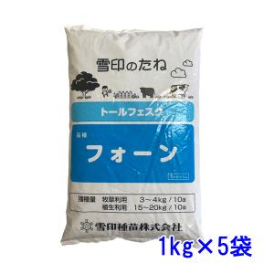 種子 トールフェスク 5kg｜donoubukuro
