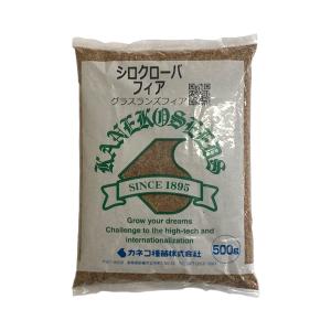 種子 シロクローバ 1kg 緑化緑肥用の詳細画像1