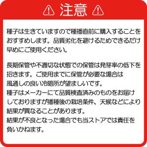 種子 シロクローバ 1kg 緑化緑肥用の詳細画像4