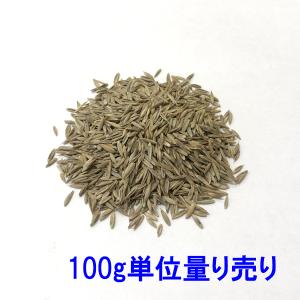 種子 トールフェスク ダイナマイトG-LS 100gの商品画像