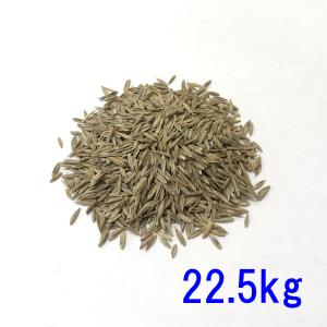 種子 トールフェスク ダイナマイトG-LS 22.5kg｜donoubukuro