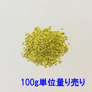 コート種子 バミューダグラス トランスコンチネンタル