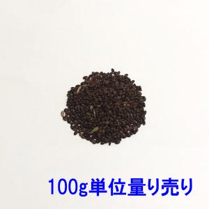 種子 センチピードグラス 100g