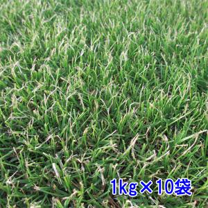 芝 草 種 センチピードグラス 1kg 種のみの販売 侵食防止 緑化