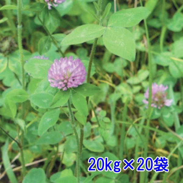 種子 アカクローバ 20kg×20袋