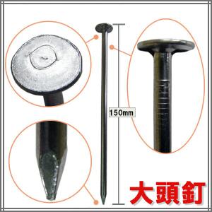 大頭釘 φ5×150 約500本入の詳細画像1