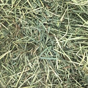 牧草 チモシー ダブルプレス 圧縮20kgの詳細画像1