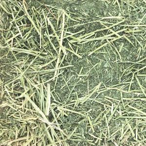 牧草 アルファルファ 圧縮20kgの詳細画像1