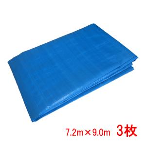 ブルーシート 厚手 #3000 10×10 2枚セット 楽天市場】ブルーシート 10m×10m ＃3000 厚手 2枚入 : 建TOOL