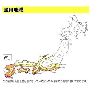 コート種子 ダイカンドラ 1kgの詳細画像2